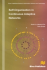 Self-Organization in Continuous Adaptive Networks - eBook