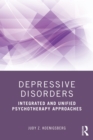 Depressive Disorders : Integrated and Unified Psychotherapy Approaches - eBook