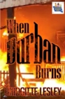 When Durban Burns - eBook