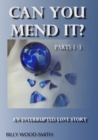 Can You Mend It? An Interrupted Love Story (Part 1-3) - eBook