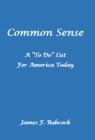 Common Sense, a "To Do" List for America Today - eBook