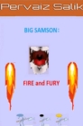 Big Samson: Fire and Fury - eBook