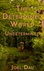 Determined World - Undetermined (Book 2) - eBook