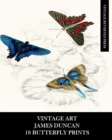 Vintage Art : James Duncan: 18 Butterfly Prints: Ephemera for Framing, Home Decor, Collage and Decoupage - Book