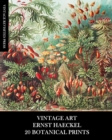 Vintage Art : Ernst Haeckel: 20 Botanical Prints: Flora and Fauna Ephemera for Framing, Collage and Decoupage - Book