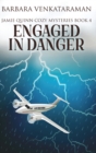 Engaged in Danger (Jamie Quinn Cozy Mysteries Book 4) - Book