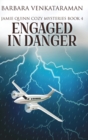 Engaged in Danger (Jamie Quinn Cozy Mysteries Book 4) - Book