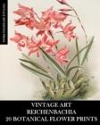 Vintage Art : Reichenbachia 20 Botanical Flower Prints: Flora Ephemera for Framing, Home Decor and Collage - Book