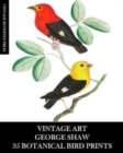 Vintage Art : George Shaw 35 Botanical Bird Prints: Ephemera for Framing, Collage, Decoupage and Junk Journals - Book