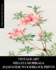 Vintage Art : Megata Morikaga 20 Japanese Woodblock Prints: Ukiyo-e Ephemera for Framing, Collage and Junk Journals - Book
