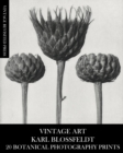 Vintage Art : Karl Blossfeldt 20 Botanical Photography Prints - Book