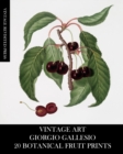 Vintage Art : Giorgio Gallesio 20 Botanical Fruit Prints - Book