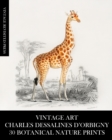 Vintage Art : Charles Dessalines D'Orbigny: 30 Botanical Nature Prints - Book