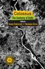 Colossus : The Anatomy of Delhi - eBook