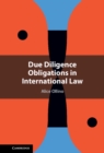 Due Diligence Obligations in International Law - eBook