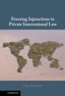 Freezing Injunctions in Private International Law - eBook