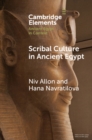 Scribal Culture in Ancient Egypt - Book