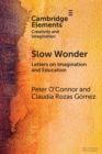 Slow Wonder : Letters on Imagination and Education - Book