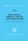 Fractional Sobolev Spaces and Inequalities - eBook
