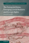 The European Union, Emerging Global Business and Human Rights - eBook