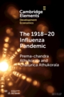 The 1918–20 Influenza Pandemic : A Retrospective in the Time of COVID-19 - eBook