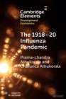 The 1918–20 Influenza Pandemic : A Retrospective in the Time of COVID-19 - Book