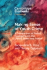 Making Sense of Youth Crime : A Comparison of Police Intelligence in the United States and France - Book