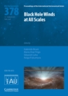 Black Hole Winds at All Scales (IAU S378) - Book