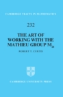 The Art of Working with the Mathieu Group M24 - Book