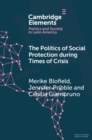 Politics of Social Protection During Times of Crisis - eBook