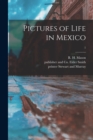 Pictures of Life in Mexico; 1 - Book