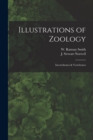 Illustrations of Zoology : Invertebrates & Vertebrates - Book