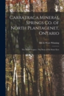 Carratraca Mineral Springs Co. of North Plantagenet, Ontario [microform] : The Moor's Legacy; The Story of the Stone Eyes - Book