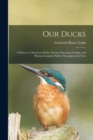 Our Ducks; a History of American Ducks, Nesting, Roosting, Feeding, and Playing Grounds; Habits Throughout the Year - Book