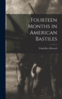Fourteen Months in American Bastiles - Book