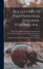 Bullettino Di Paletnologia Italiana, Volumes 4-6... - Book