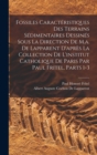 Fossiles Caracteristiques Des Terrains Sedimentaires Dessines Sous La Direction De M.a. De Lapparent D'apres La Collection De L'institut Catholique De Paris Par Paul Fritel, Parts 1-3 - Book