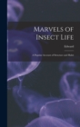 Marvels of Insect Life; a Popular Account of Structure and Habit - Book