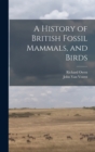 A History of British Fossil Mammals, and Birds - Book