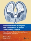 The Human Brain during the First Trimester 57- to 60-mm Crown-Rump Lengths : Atlas of Human Central Nervous System Development, Volume 7 - Book