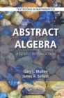 Abstract Algebra : A Gentle Introduction - Book