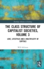 The Class Structure of Capitalist Societies, Volume 3 : Love, Lifestyles and a Multiplicity of Capitals - Book