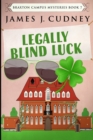 Legally Blind Luck : Large Print Edition - Book