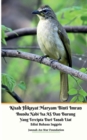 Kisah Hikayat Maryam Binti Imran Ibunda Nabi Isa AS Dan Burung Yang Tercipta Dari Tanah Liat Edisi Bahasa Inggris - Book