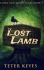 Lost Lamb (Deidra Ann Adventures Book 1) - Book