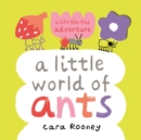 A Little World of Ants : a lift-the-flap adventure - Book