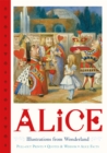 Alice Pull-Out Prints : Illustrations from Wonderland - Book