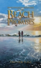 Dr Rudyard Turnstone and the Beach of Promises - Book