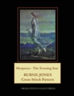 Hesperus - The Evening Star : Burne-Jones Cross Stitch Pattern - Book