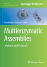 Multienzymatic Assemblies : Methods and Protocols - Book